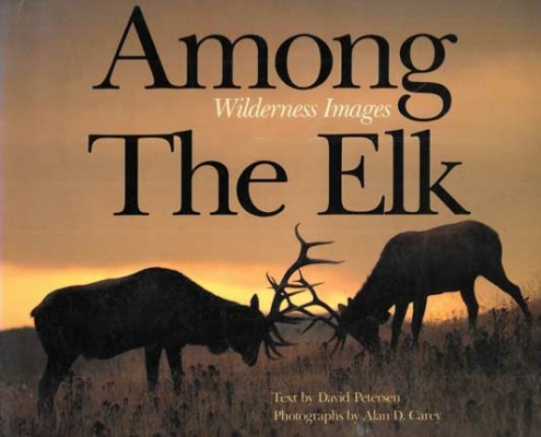 Among The Elk