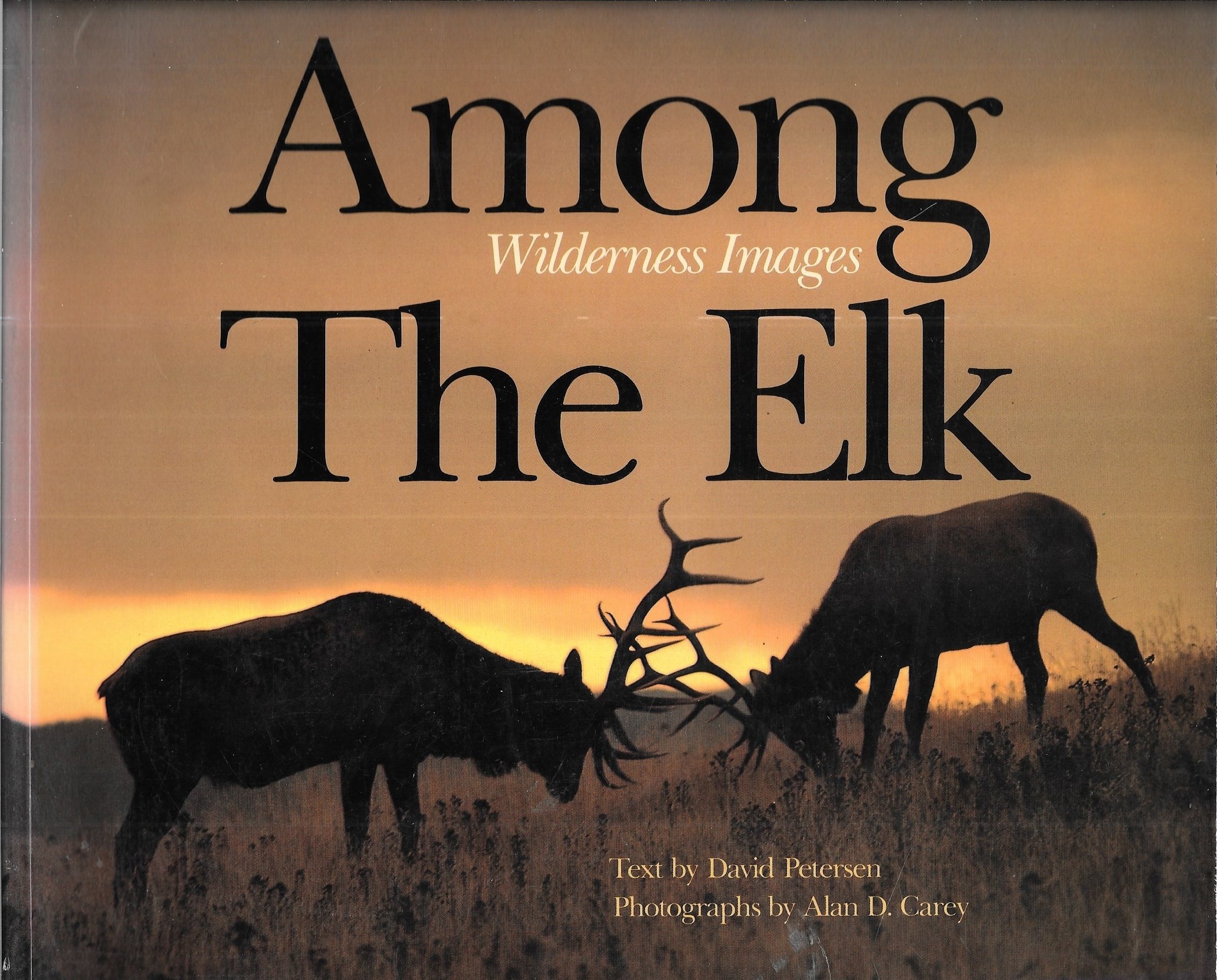 Among the Elk